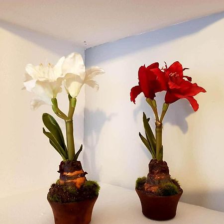 Apartamento Cortadura Beach 카디스 외부 사진